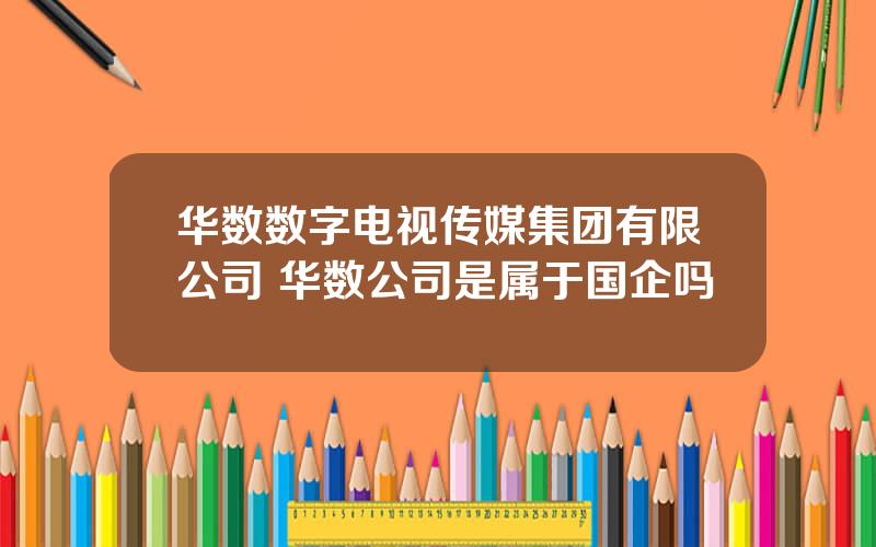 华数数字电视传媒集团有限公司 华数公司是属于国企吗